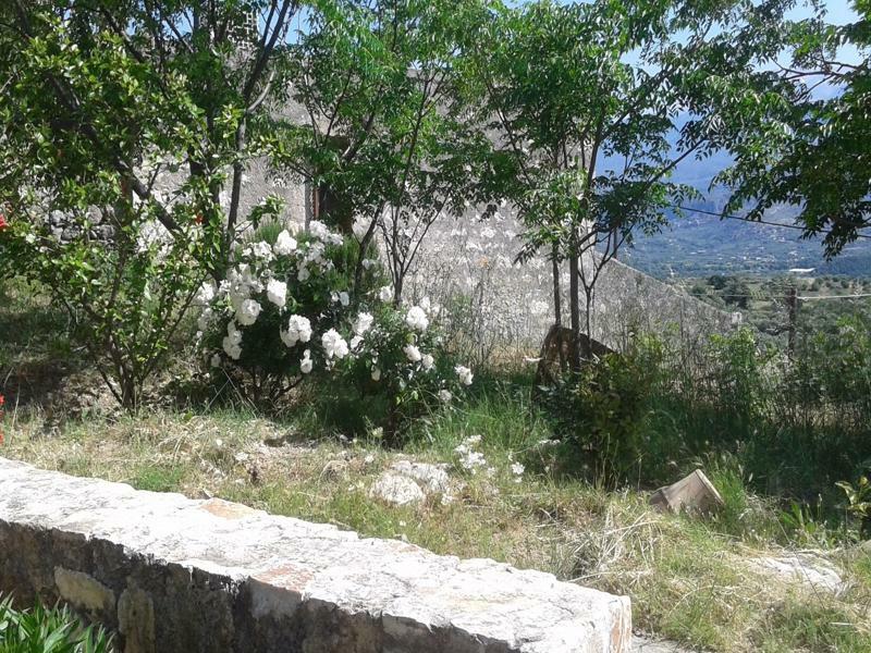 Petra & Elia Villa Megala Chorafia Luaran gambar