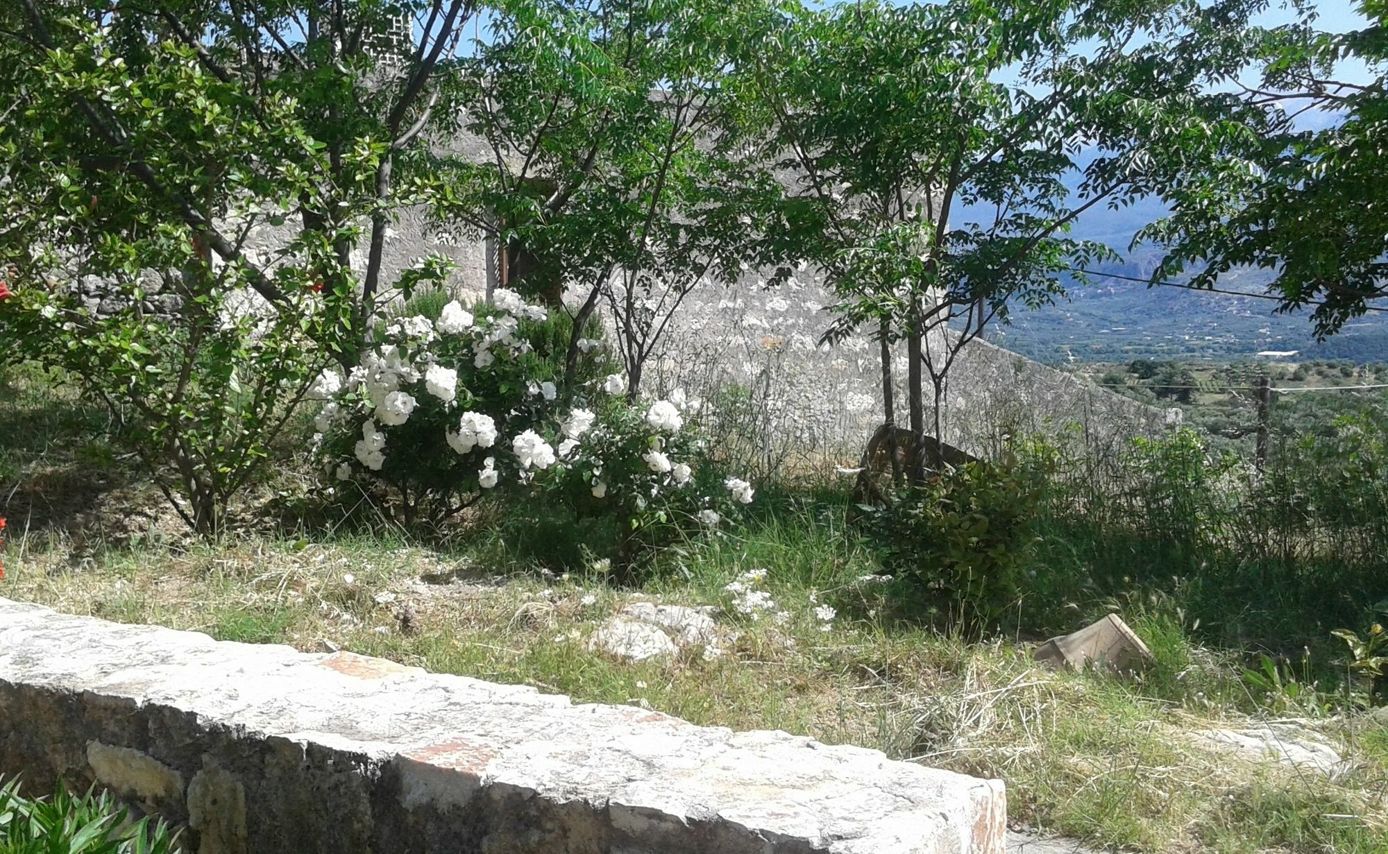 Petra & Elia Villa Megala Chorafia Luaran gambar