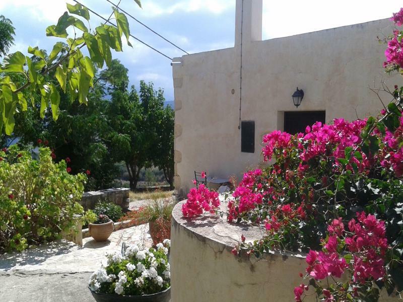 Petra & Elia Villa Megala Chorafia Luaran gambar