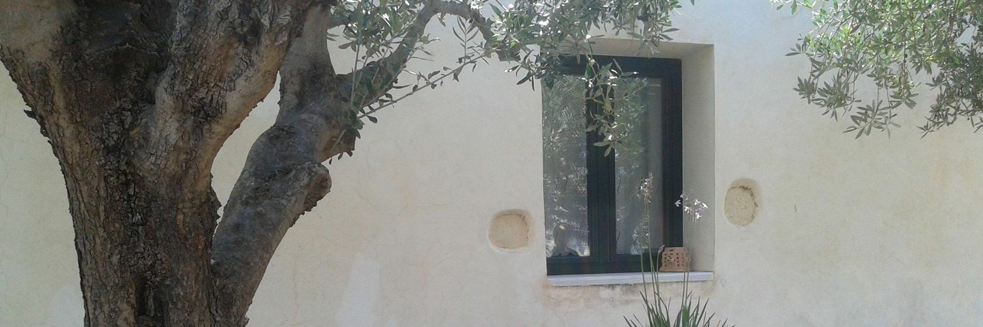 Petra & Elia Villa Megala Chorafia Luaran gambar