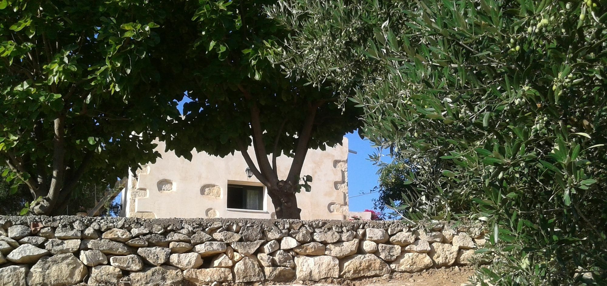 Petra & Elia Villa Megala Chorafia Luaran gambar